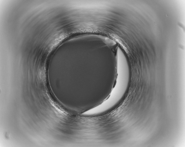 X0000093740677200710301105