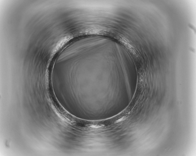 X0000093740678200710301105