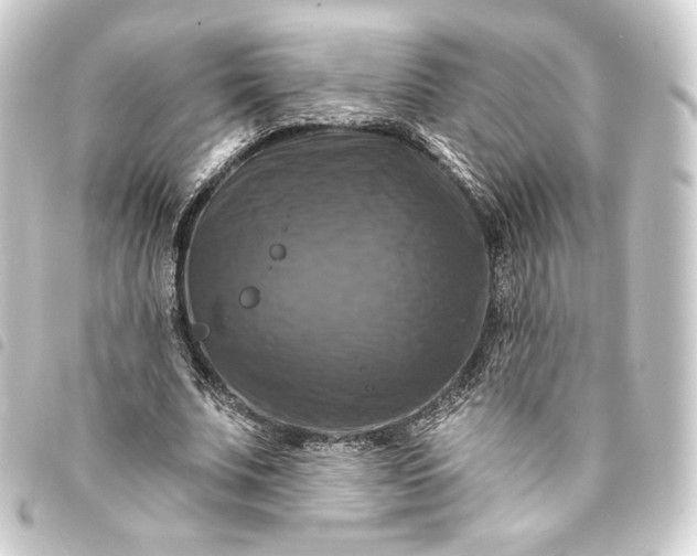 X0000093740679200710301105