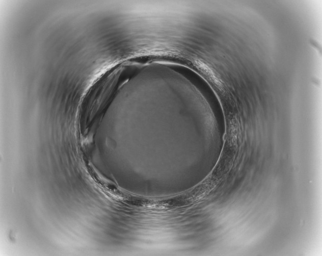 X0000093740680200710301105