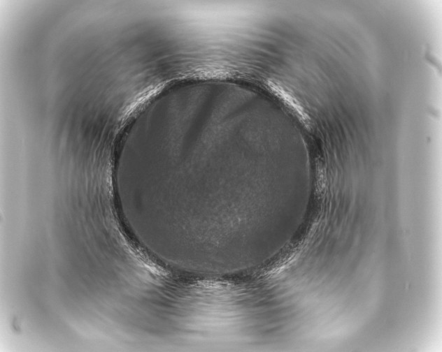 X0000093740681200710301105