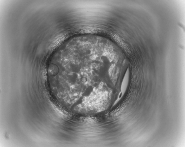 X0000093740683200710301105