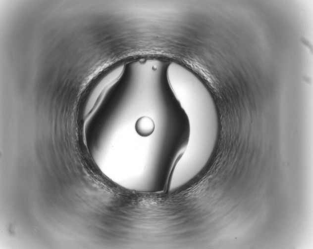 X0000093740684200710301105