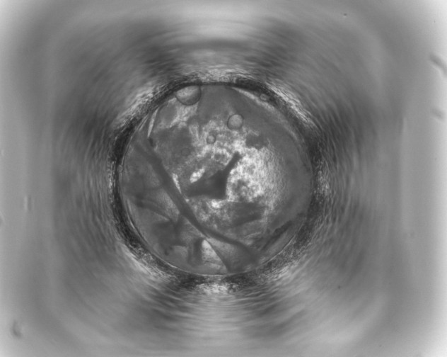 X0000093740687200710301105