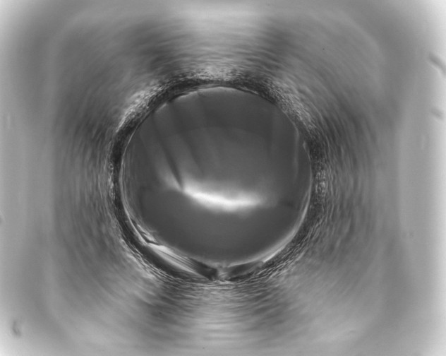 X0000093740688200710301105