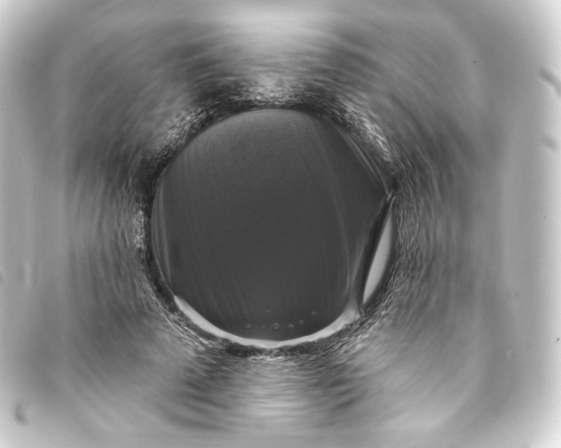 X0000093740689200710301105