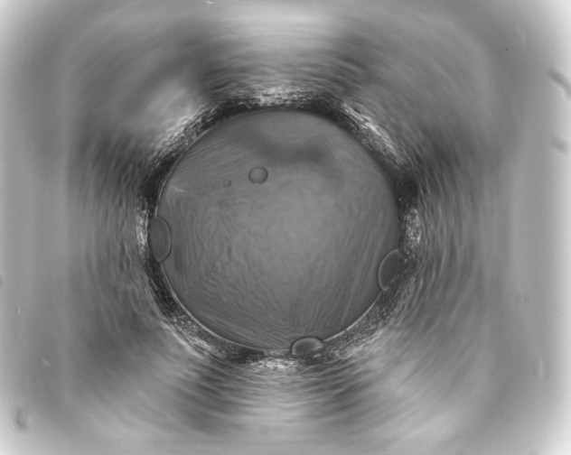 X0000093740691200710301105