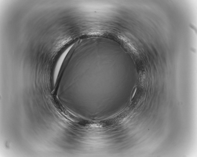 X0000093740692200710301105