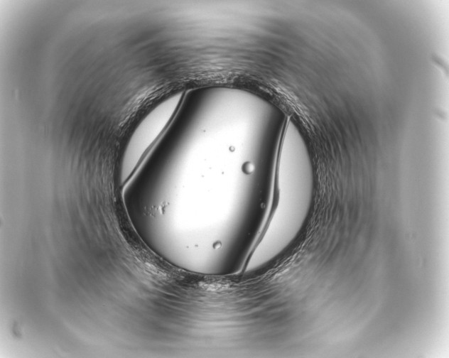 X0000093740693200710301105