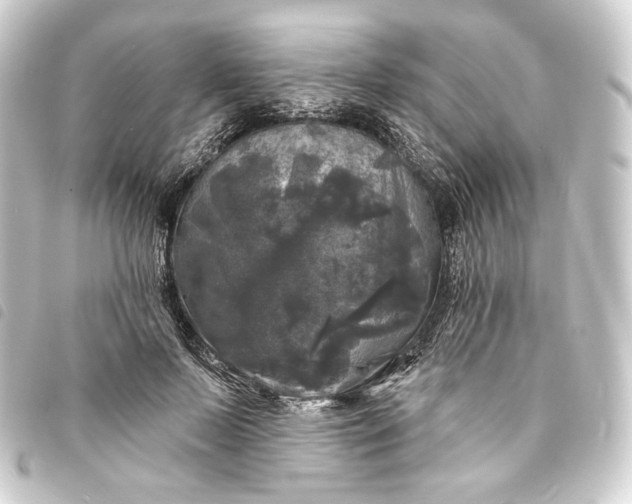 X0000093740695200710301105