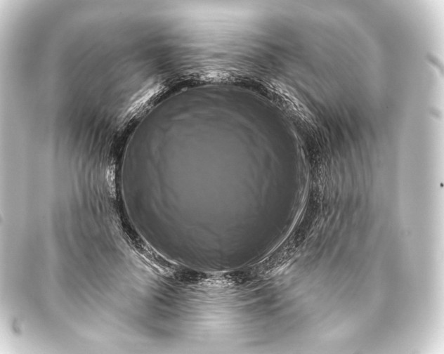 X0000093740696200710301105