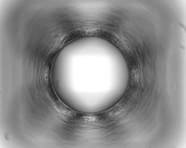 X0000093740698200710301105