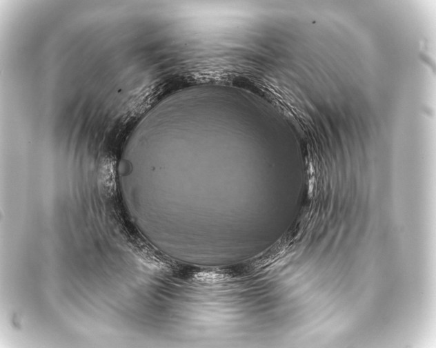 X0000093740699200710301105