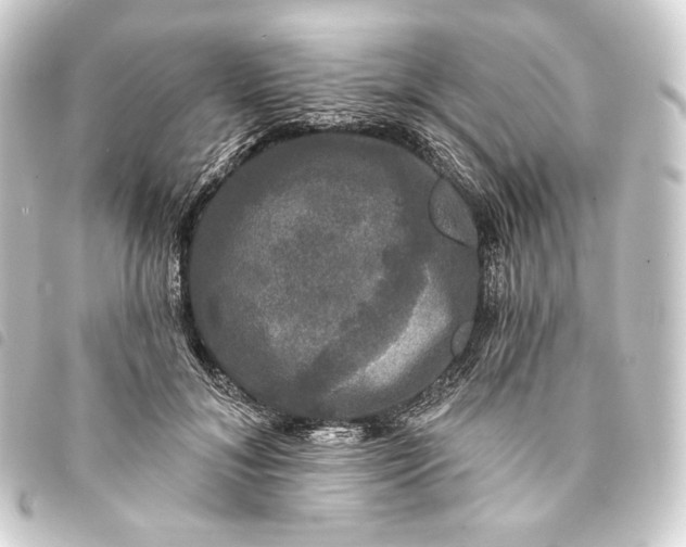 X0000093740700200710301105