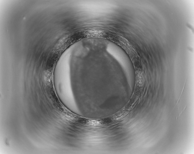 X0000093740701200710301105