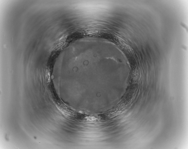 X0000093740703200710301105