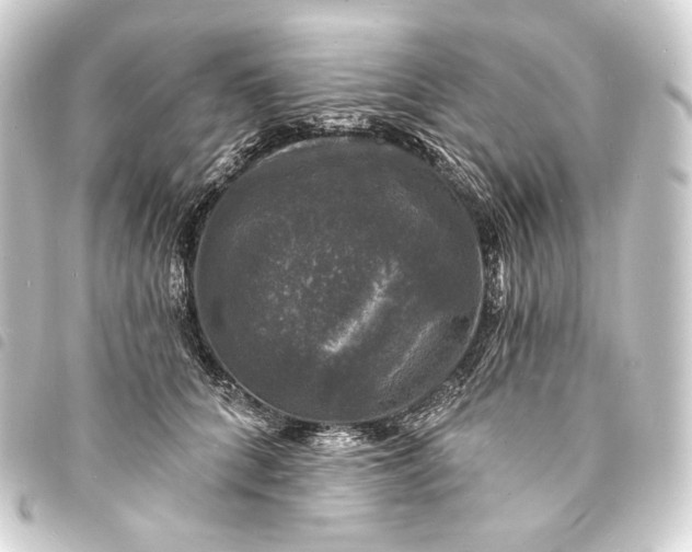 X0000093740704200710301105