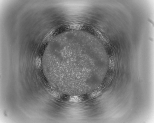 X0000093740705200710301105