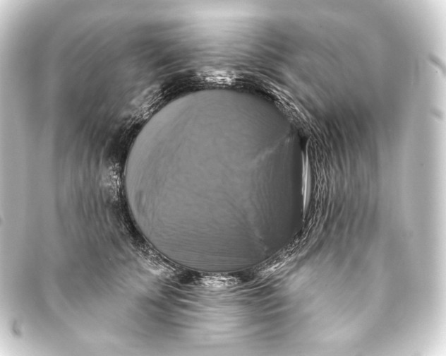 X0000093740707200710301105