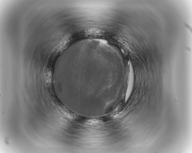 X0000093740708200710301105