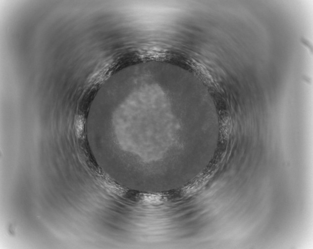 X0000093740709200710301105