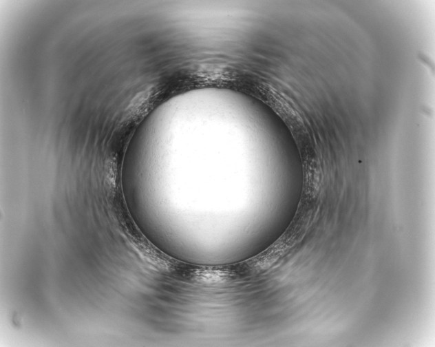 X0000093740710200710301105