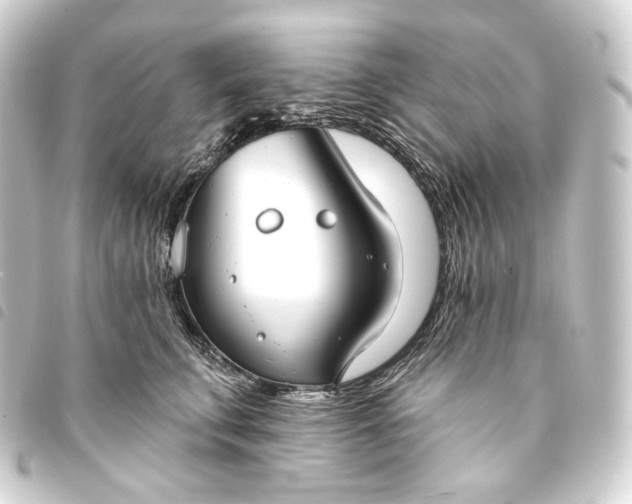 X0000093740711200710301105