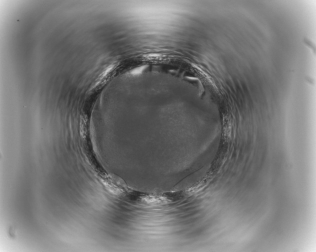 X0000093740712200710301105