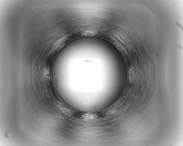 X0000093740714200710301105