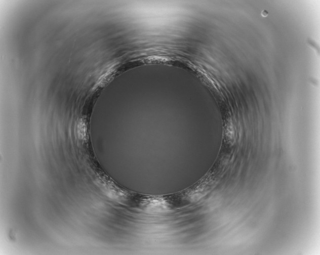 X0000093740715200710301105