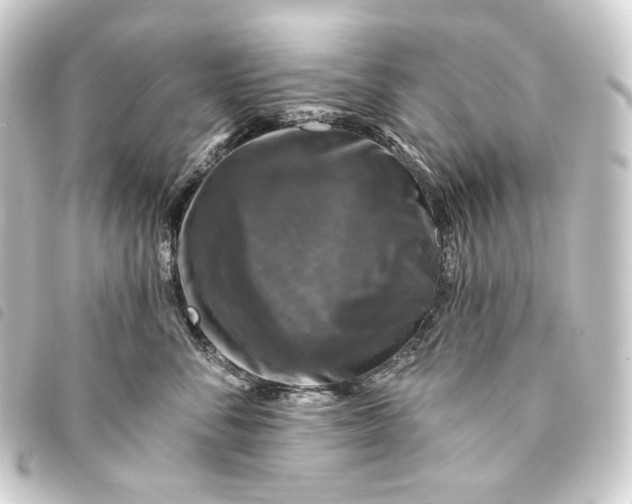 X0000093740716200710301105