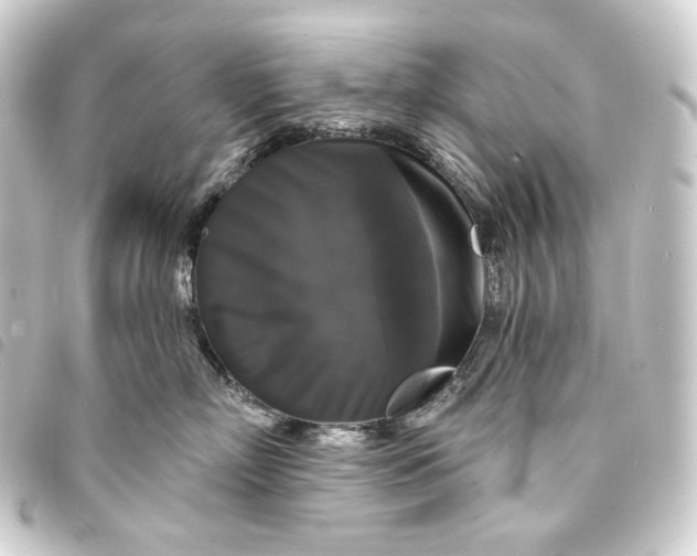 X0000093740718200710301104