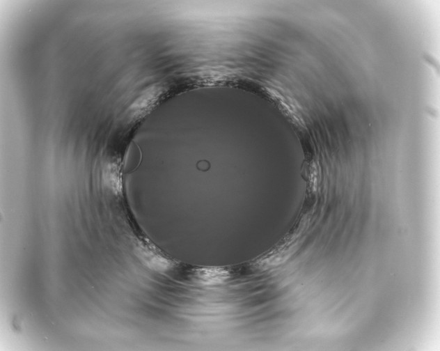 X0000093740719200710301104