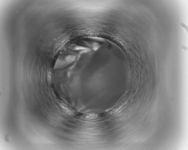 X0000093740720200710301104