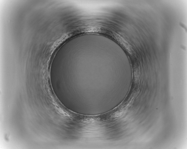 X0000093740721200710301104