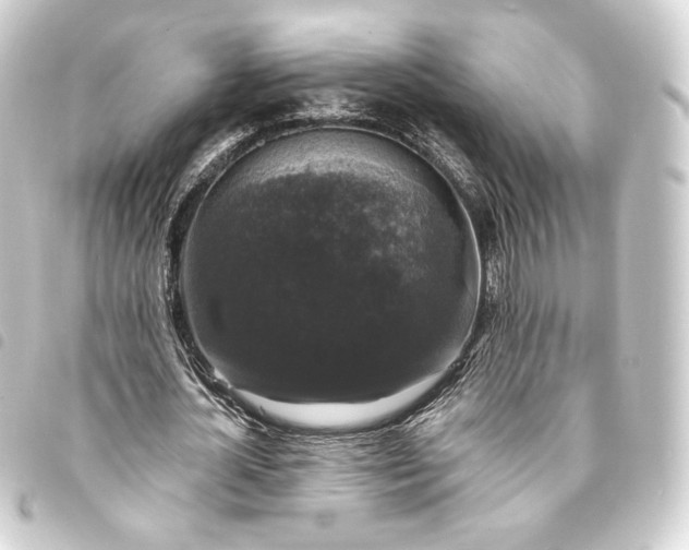 X0000093740724200710301104