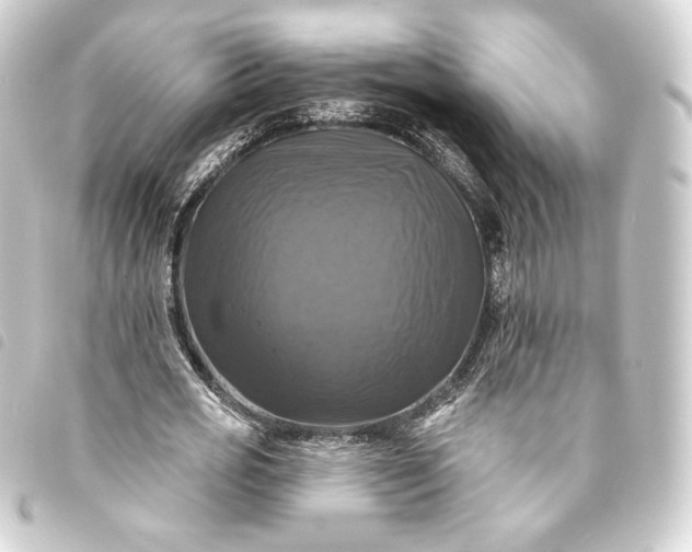 X0000093740725200710301104