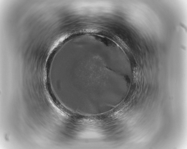 X0000093740726200710301104