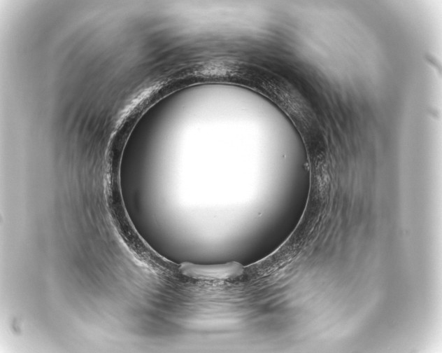 X0000093740728200710301104