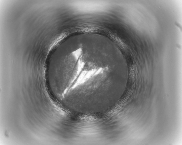 X0000093740730200710301104