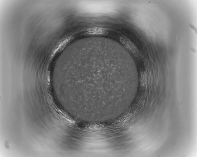 X0000093740731200710301104