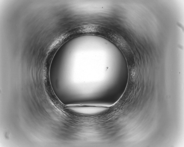 X0000093740732200710301104