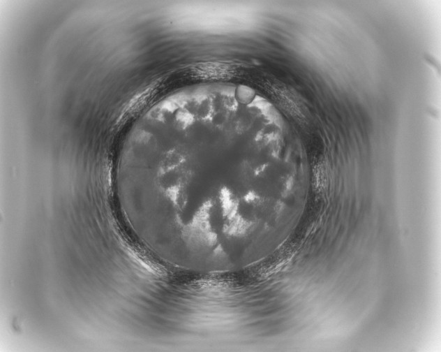 X0000093740733200710301104