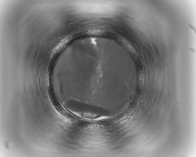 X0000093740734200710301104