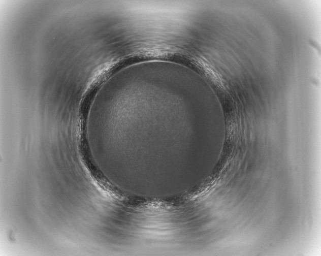 X0000093740736200710301104