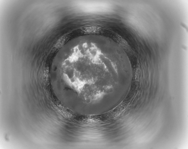 X0000093740737200710301104