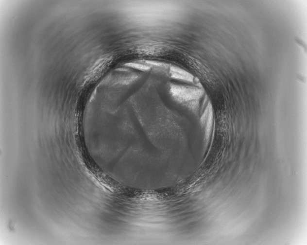 X0000093740738200710301104