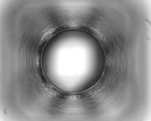 X0000093740740200710301104