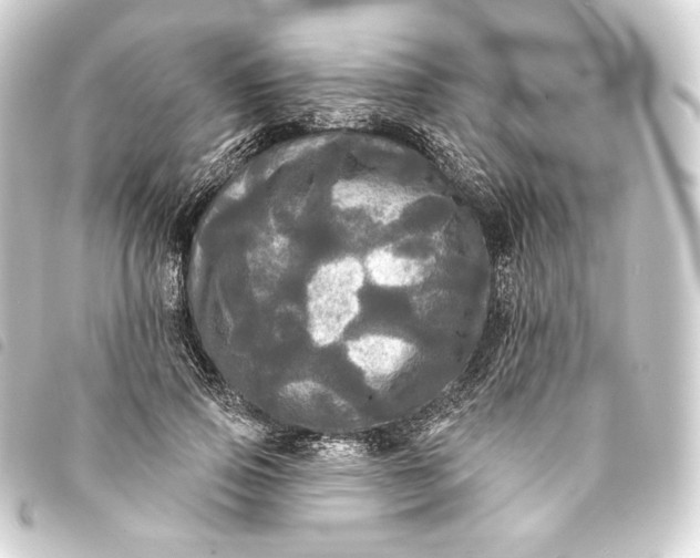 X0000093740741200710301104