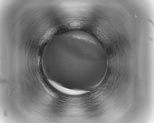 X0000093740742200710301104